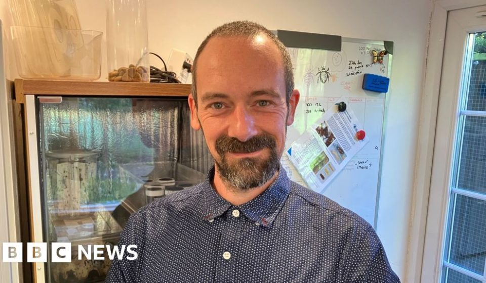 The Gloucestershire man who chooses to sleep with bedbugs – BBC The Gloucestershire man who chooses to sleep with bedbugs - BBC
