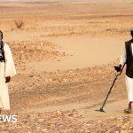 Dozens of gold miners killed in Egypt-Sudan border strikes, rights group says - BBC