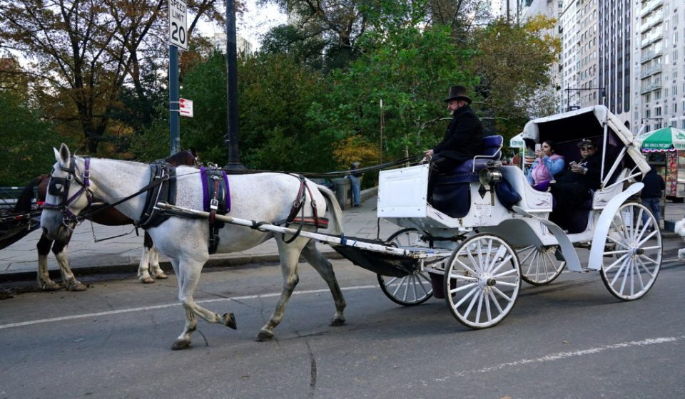 New York plans to ban horse-drawn carriages from Central Park after death of teenager