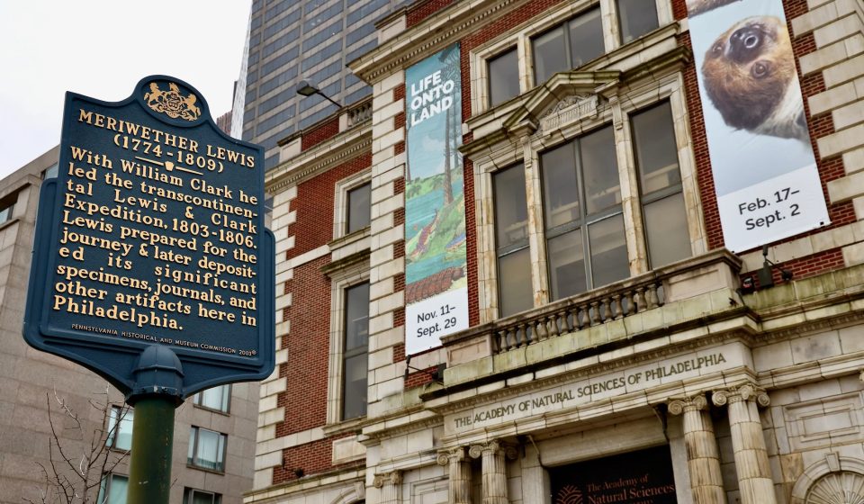 Staff of the Academy of Natural Sciences speak out about the closure