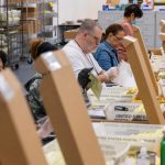 DOJ orders some California counties to exclude ballots of suspected non-citizens