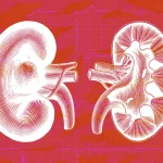 Exclusive: HHS releases new kidney care plan