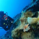 ​The world's oldest wreck discovered off the coast of Turkey, according to archaeologists: "Time capsule at the bottom of the sea"