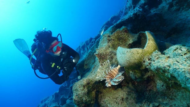 ​The world's oldest wreck discovered off the coast of Turkey, according to archaeologists: "Time capsule at the bottom of the sea"