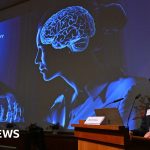 Nobel Prize in Medicine for showing the inner workings of the brain
