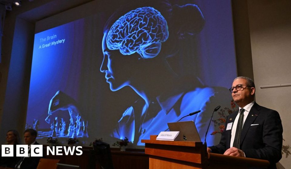 Nobel Prize in Medicine for showing the inner workings of the brain