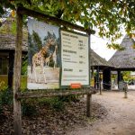 Zoo keeper dies after leopard savagely mauls him in animal enclosure