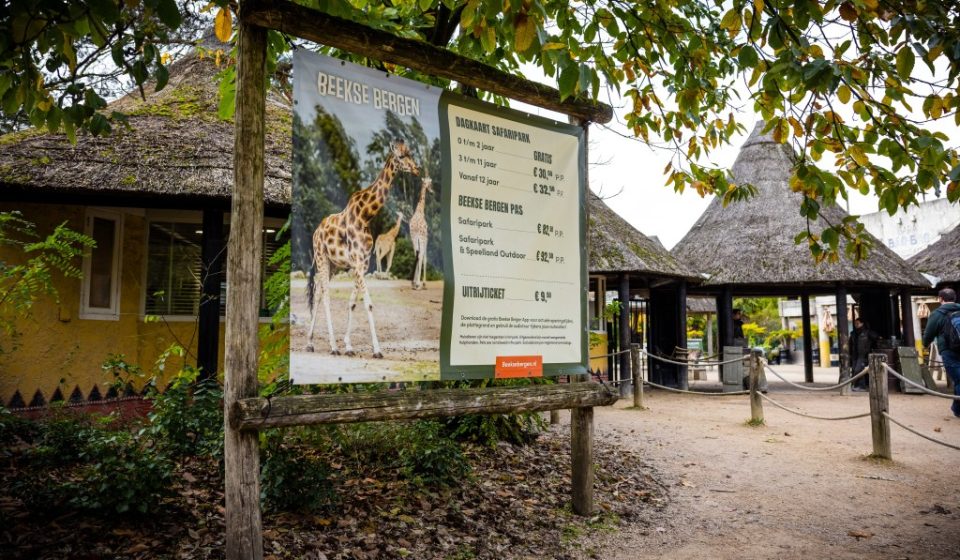 Zoo keeper dies after leopard savagely mauls him in animal enclosure