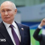 Elon Musk is a 'real genius,' Putin says after satellite talks with SpaceX boss - BBC News Africa