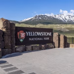 Luna, dog missing for more than a month in Yellowstone, is found safe and sound
