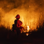 Poor communication marred emergency response to Los Angeles area fires, report says