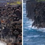 Hawaii's picturesque Hōlei Sea Arch collapses into the ocean