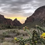 Federal Court temporarily blocks Trump administration's border wall in Texas' Big Bend region