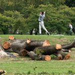 Judge criticizes Trump administration for cutting down trees on Washington golf course the president wants to redo