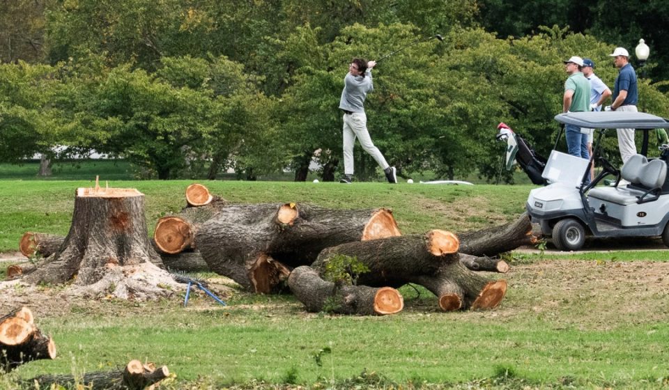 Judge criticizes Trump administration for cutting down trees on Washington golf course the president wants to redo