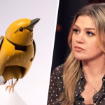 Kelly Clarkson's Bird Quarrel: Brooklyn boutique Art of Play says Molly is now on sale for $15 million