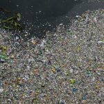 How exactly do microplastics damage the body? New research offers answer – NBC News