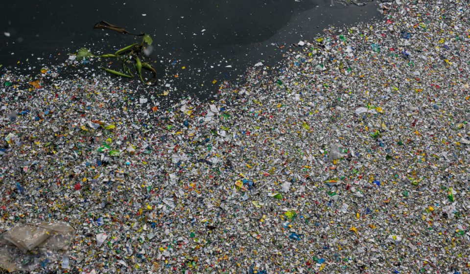 How exactly do microplastics damage the body? New research offers answer – NBC News How exactly do microplastics damage the body? New research offers answer – NBC News