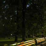 Woman sexually assaulted at knifepoint in Central Park, police say