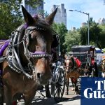 New York City decides to ban horse-drawn carriages | new York