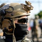Details of thousands of US immigration officials leaked online - BBC