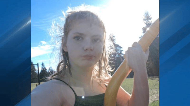 CAN YOU HELP? 10-year-old girl kidnapped from Canby apartment, police search for suspect