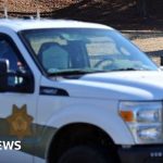 Three dead after two helicopters collide near Oregon airport - BBC News Africa