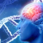 Do you think 8 hours of sleep is enough? A neurologist busts brain health myths about sleep, stress, alcohol and more