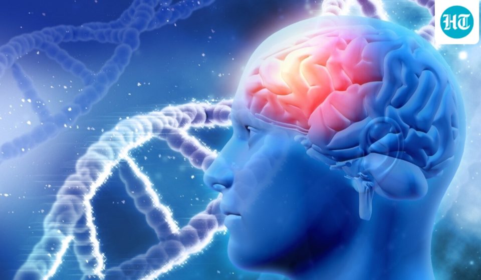 Do you think 8 hours of sleep is enough? A neurologist busts brain health myths about sleep, stress, alcohol and more