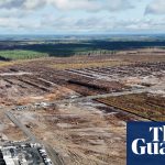 Finland opens criminal investigation into Google clearing forest for data center site | Finland