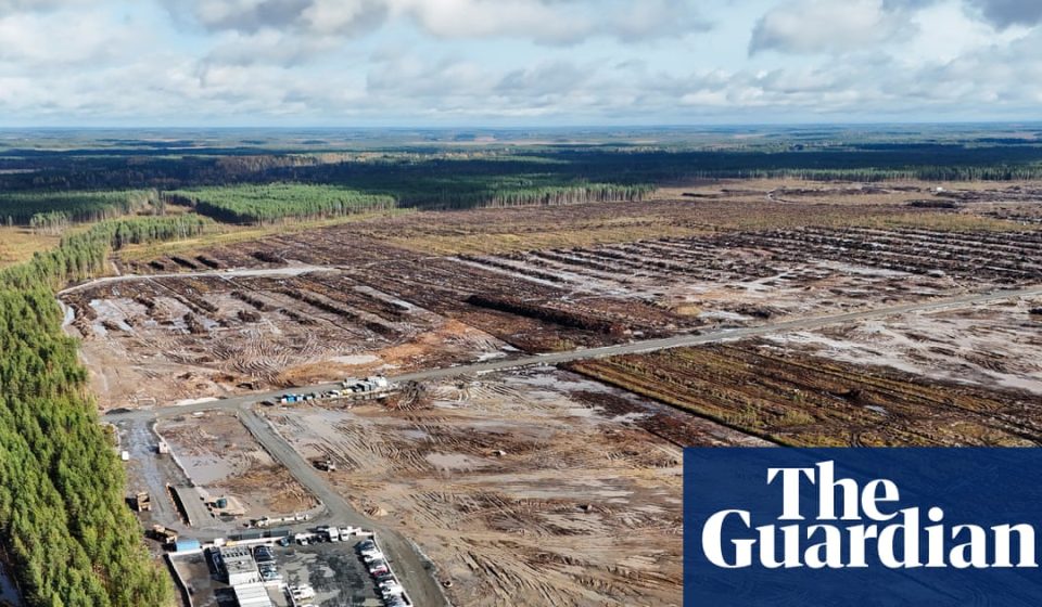 Finland opens criminal investigation into Google clearing forest for data center site | Finland