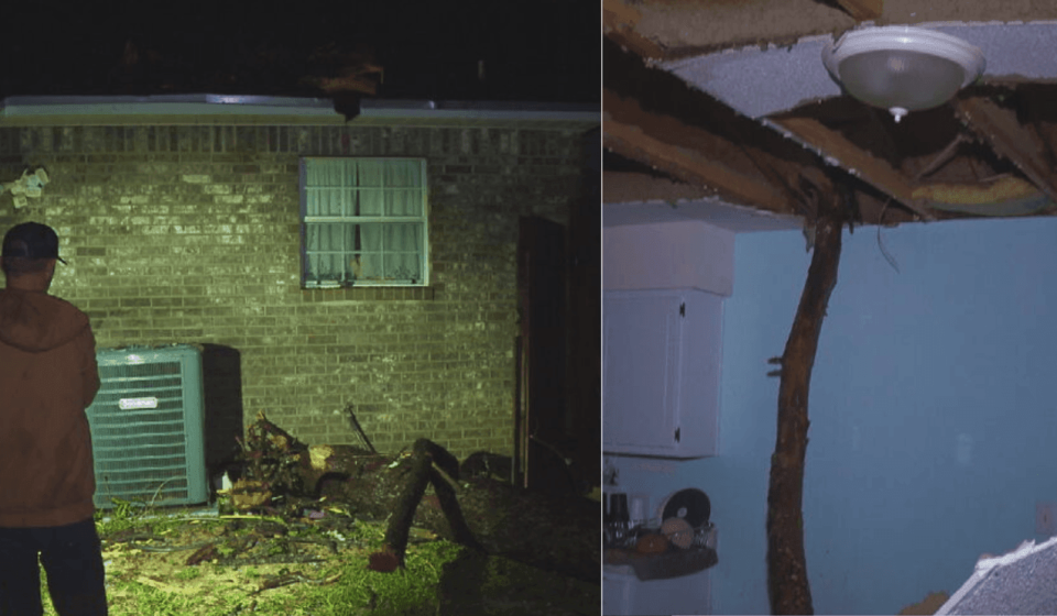 Tree rips roof off family's Crestview home during Hurricane Isaias