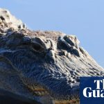 Florida fisherman dragged into water and killed by 12-foot alligator | Florida
