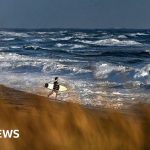 Medical plane with 6 people on board missing off Massachusetts coast - BBC News Africa
