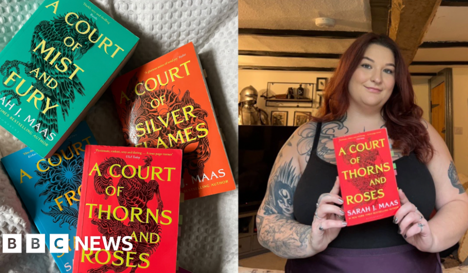 Excitement grows for new book A Court of Thorns and Roses – BBC News Africa Excitement grows for new book A Court of Thorns and Roses – BBC News Africa