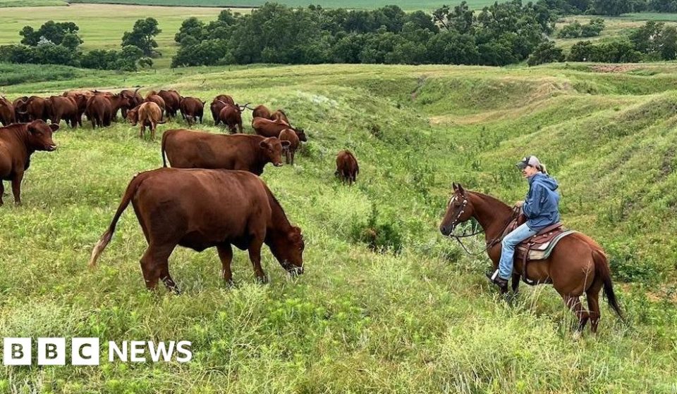U.S. breeders face soaring costs
