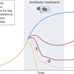 Bacterial strategies to survive antibiotics during a urinary tract infection: Could uropathogenic Escherichia coli be persistent?