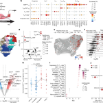 A pre-invasive regulatory T cell axis for lung cancer interception