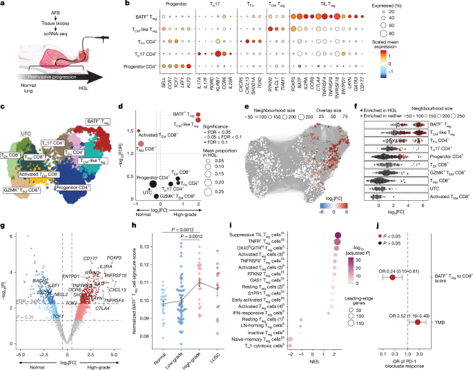 A pre-invasive regulatory T cell axis for lung cancer interception