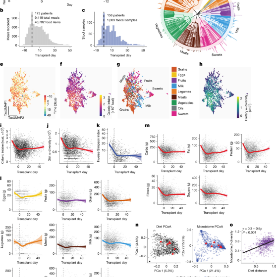 High-sugar foods exacerbate antibiotic-induced microbiome disruption