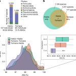 Prehistoric global migration of endangered gut microbes with humans