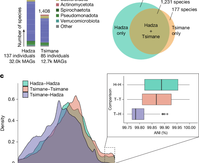 Prehistoric global migration of endangered gut microbes with humans Prehistoric global migration of endangered gut microbes with humans