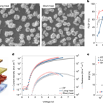 Hidden reaction pathways illuminate additive engineering for perovskite LEDs