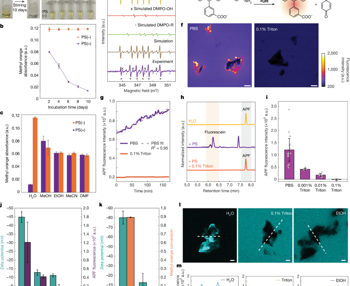 Intrinsic physicochemical activity at microplastic-water interfaces