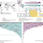 Divergent genomic evolution of astrocytomas and oligodendrogliomas