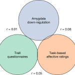 Emotion regulation ability does not have a shared neural signature