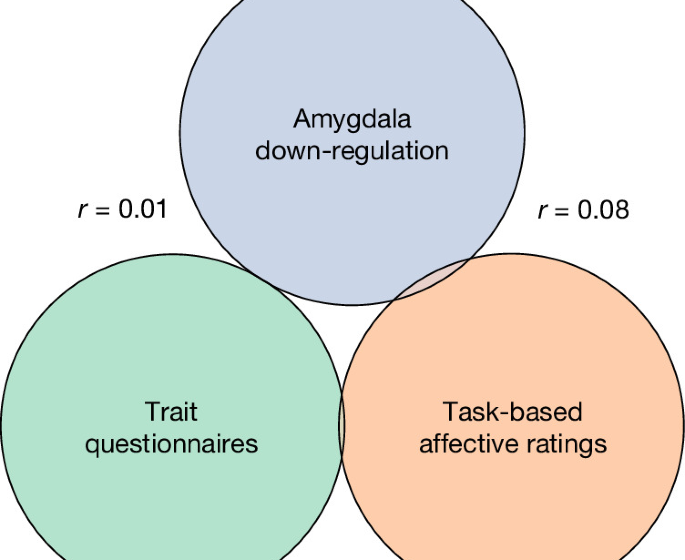 Emotion regulation ability does not have a shared neural signature