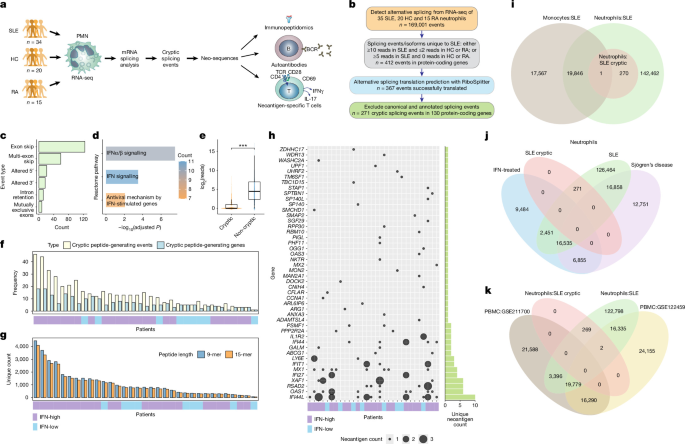 T and B cells recognize neutrophil splice-derived neoantigens in lupus