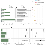 Imputation of fluid intelligence scores reduces verification bias and increases the power of common and rare variant analyzes