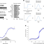 Population-wide reconstruction of menopause dynamics reveals physiological cliff during last menstrual period